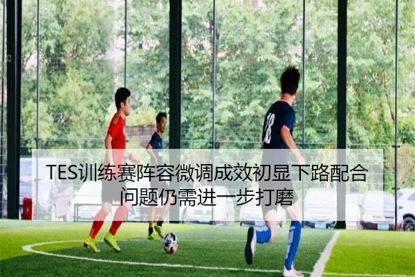 TES训练赛阵容微调成效初显下路配合问题仍需进一步打磨